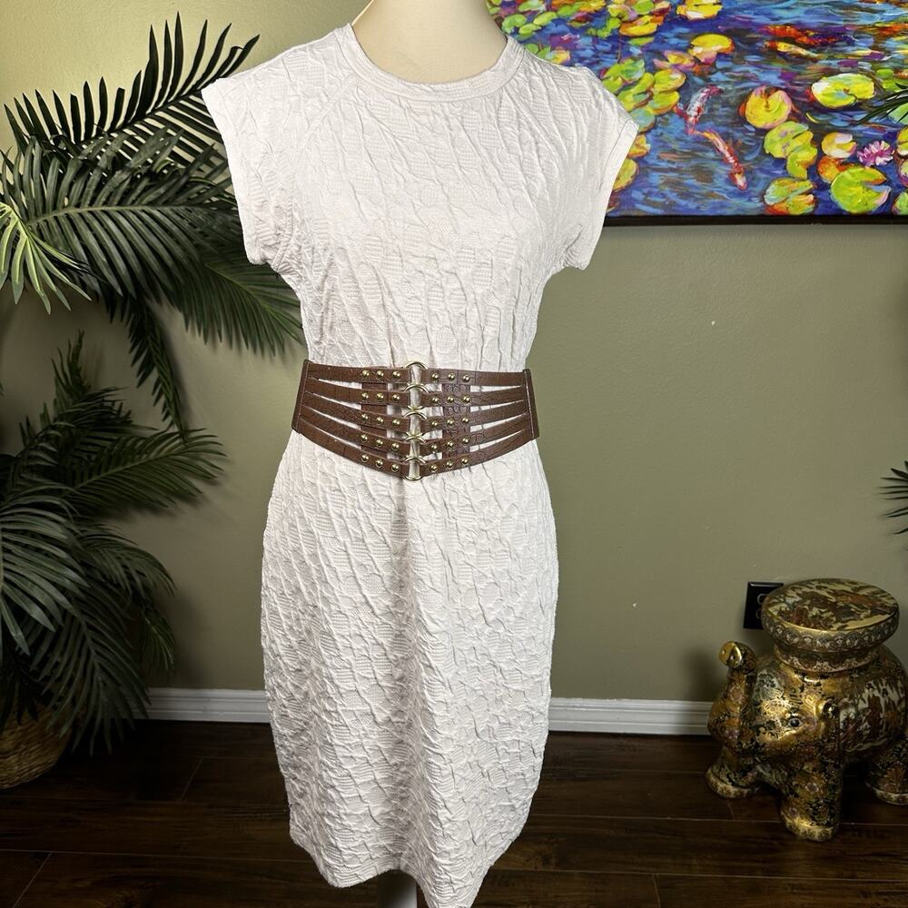 Belt Cinch Wide Brown Reptile Retro 80s embossed PU leather Gold Snaps Elastic